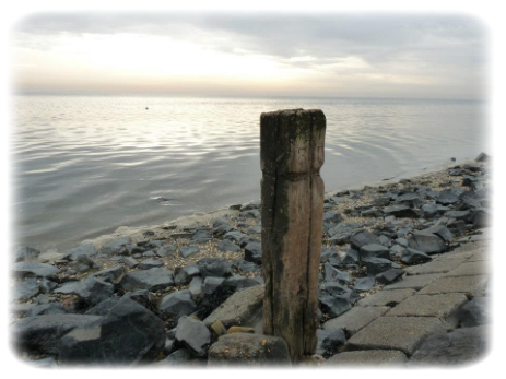 Wad dijk Ameland 